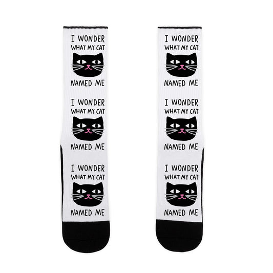 I Wonder What My Cat Named Me Socks