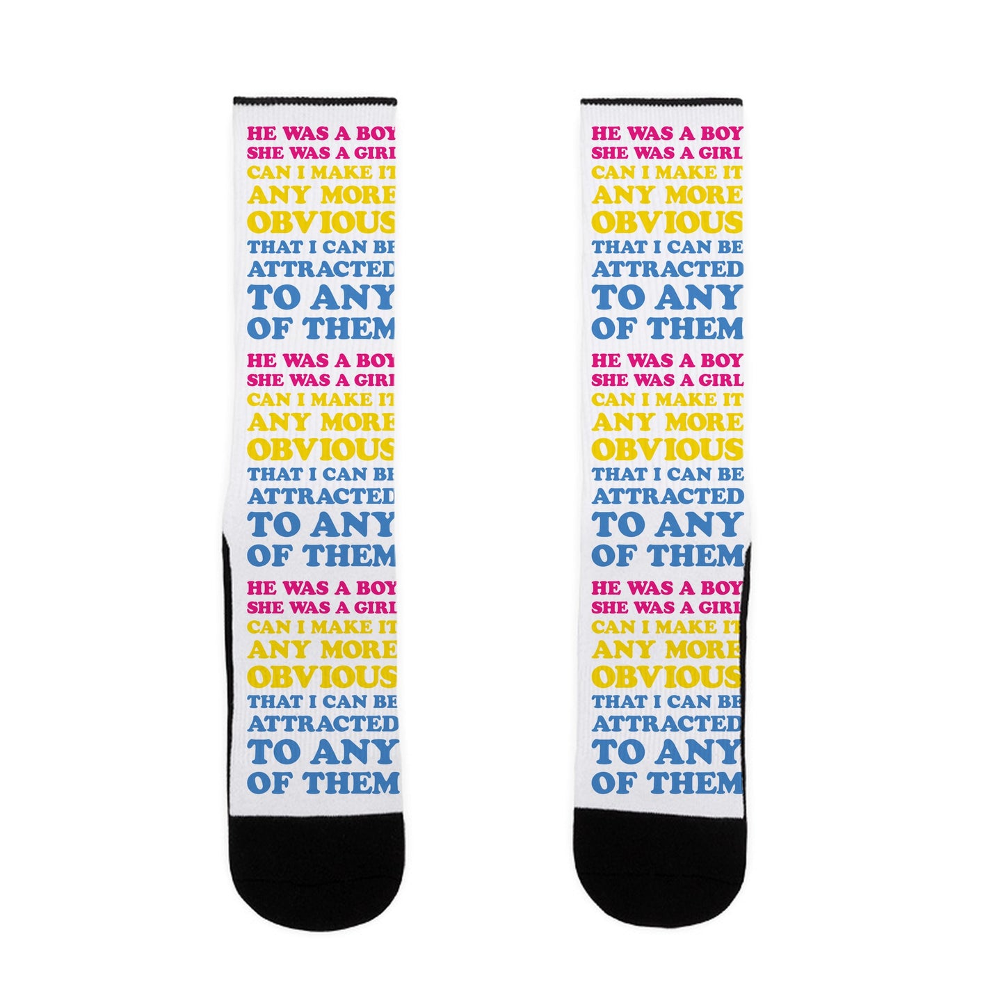 Sk8er Boi Pansexual Parody Socks