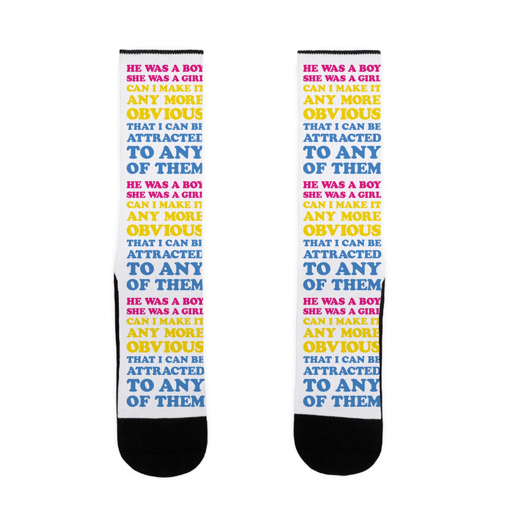 Sk8er Boi Pansexual Parody Socks