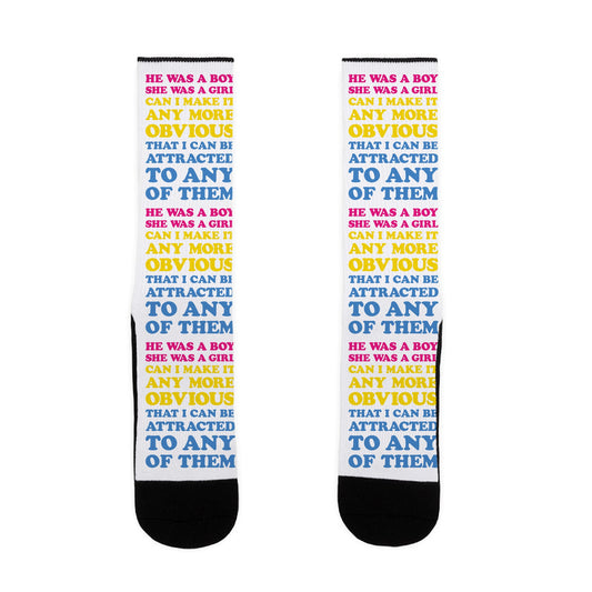 Sk8er Boi Pansexual Parody Socks