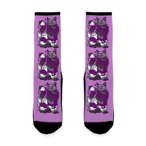 Asexual Pride Cat Socks