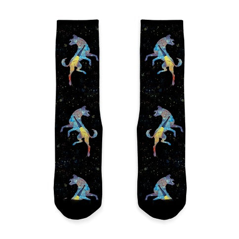 Astronaut Dog Laika Socks