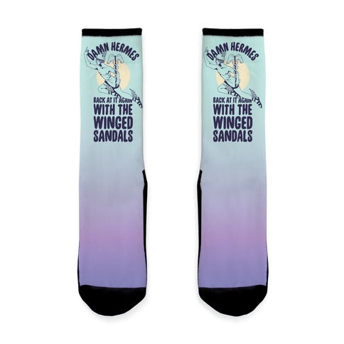 Damn Hermes  Socks