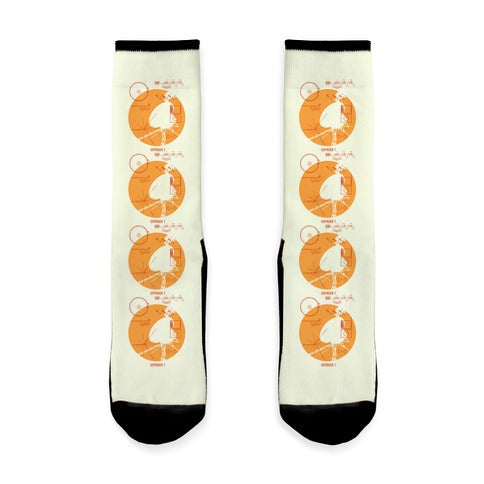 Retro Voyager 1 Golden Record Socks