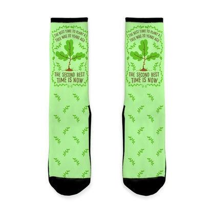 The Best Time to Plant a Tree Socks