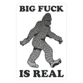 BIG F*** Is Real Die Cut Sticker
