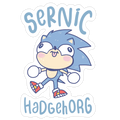Derpy Sonic Sernic Hadgehorg Die Cut Sticker