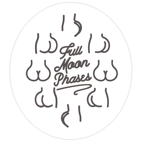 Full Moon Phases Die Cut Sticker