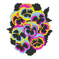 Pan-sy (Pansexual Pansies) Die Cut Sticker