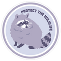 Protect the Wildlife (Raccoon) Die Cut Sticker