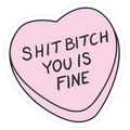Shit Bitch You is Fine Die Cut Sticker