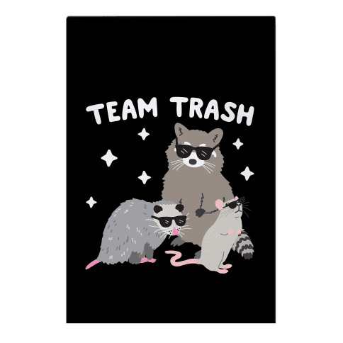 Team Trash Opossum Raccoon Rat Garden Flag