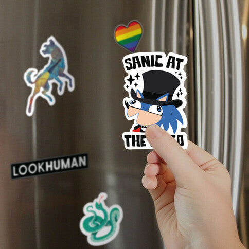 Sanic At The Disco Magnet
